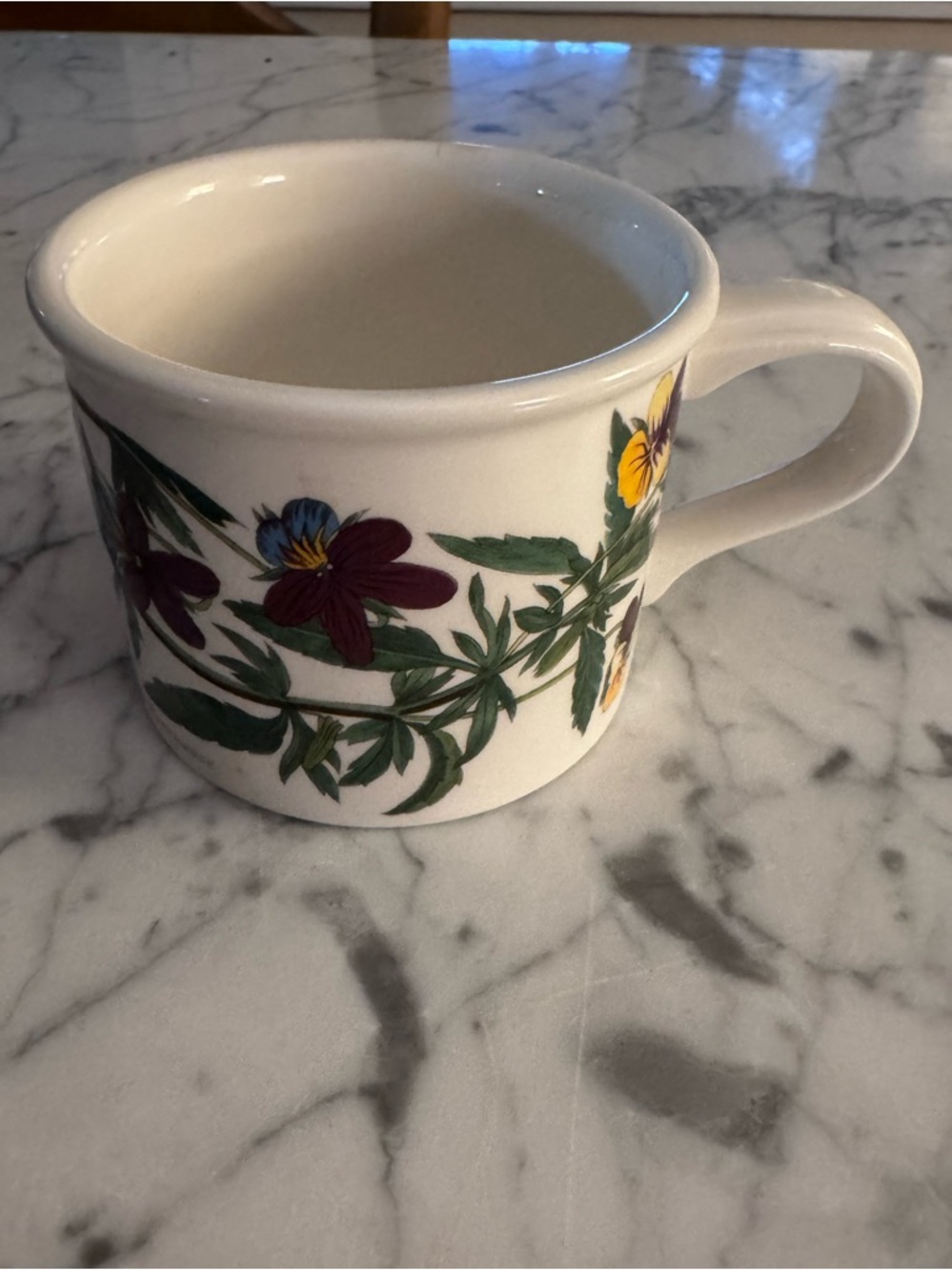 Portmeirion botanic garden teacup, like new